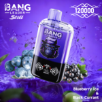 Bang Leader Stoll 120K – Áfonya jég black currant – képen látható változat