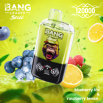 Bang Leader Stoll 120K – Áfonya jég málna citrom – képen látható változat