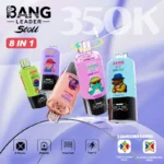 Bang Leader Stoll 350K – kialakítás részlete – 1. kép