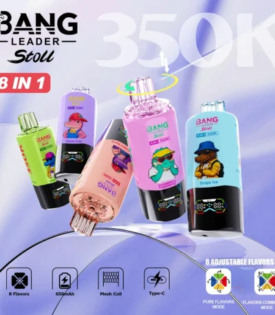 Bang Leader Stoll 350K – kialakítás részlete – 1. kép