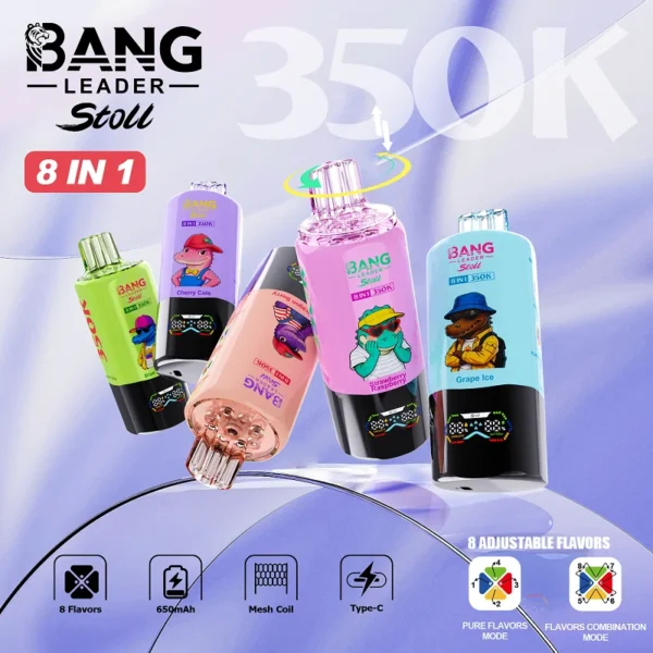 Bang Leader Stoll 350K – kialakítás részlete – 1. kép