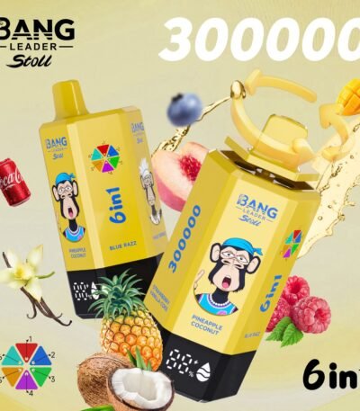 Bang Leader Stoll 300K – ízválaszték, 6. változat