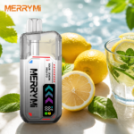 Merry Mi Mecha X 36K – Savanyú citrom mojito – képen látható változat